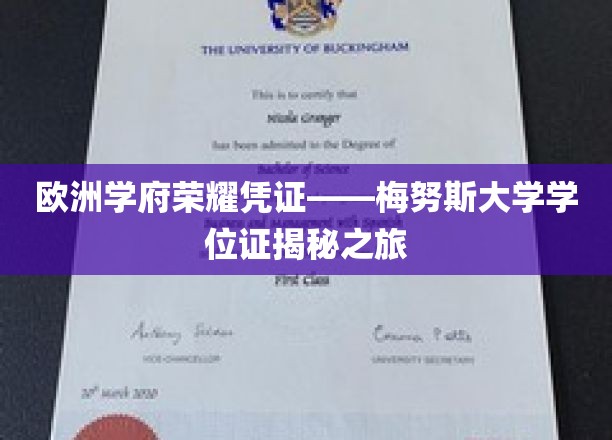 探寻欧洲名校的荣耀印记，梅努斯大学学位证的传奇之旅