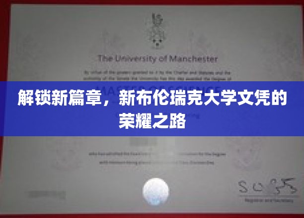 新布伦瑞克大学文凭新纪元，荣耀启航之旅