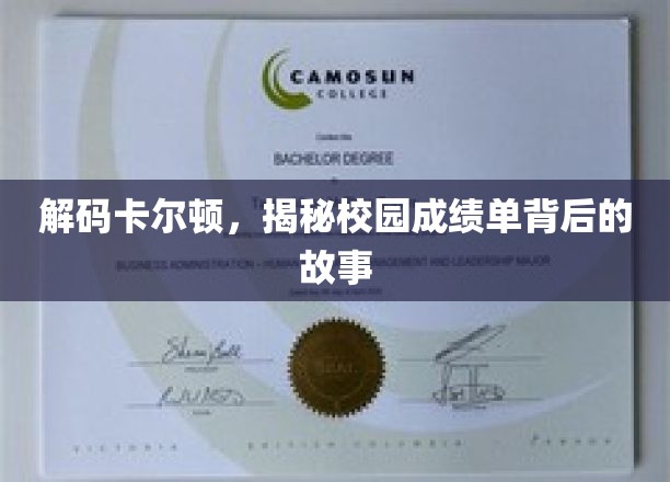 解码卡尔顿，揭秘校园成绩单背后的故事