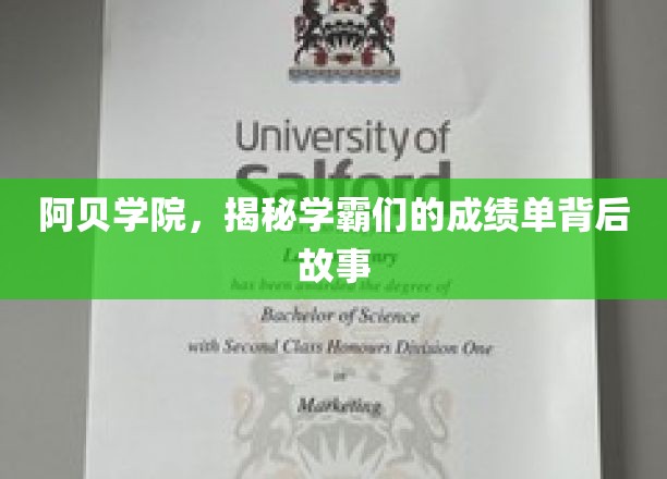 阿贝学院，解码学霸们的成绩单背后的故事