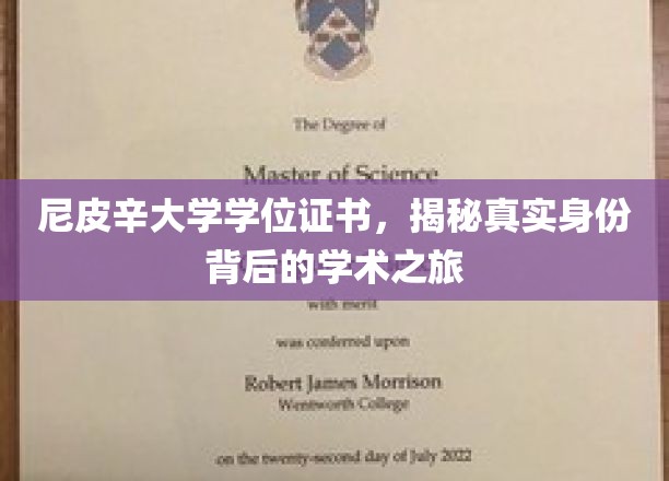 尼皮辛大学学位证书，揭秘真实身份背后的学术之旅