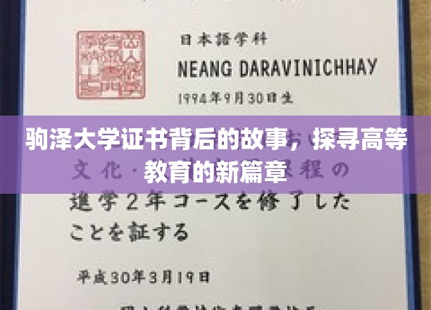驹泽大学证书，揭开高等教育革新的神秘面纱