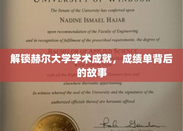 解锁赫尔大学学术成就，成绩单背后的故事