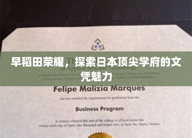解码早稻田，揭秘顶尖文凭的学术风采
