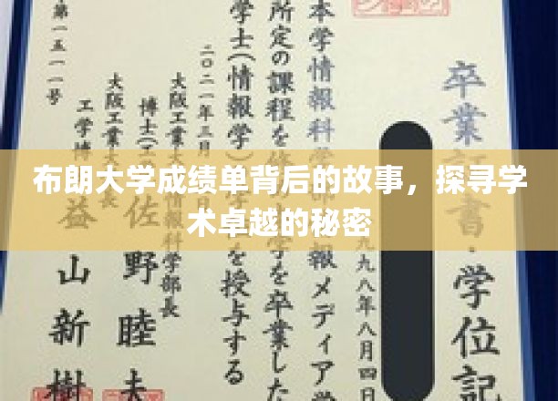 布朗大学成绩单背后的传奇，解码学术精英的崛起之路