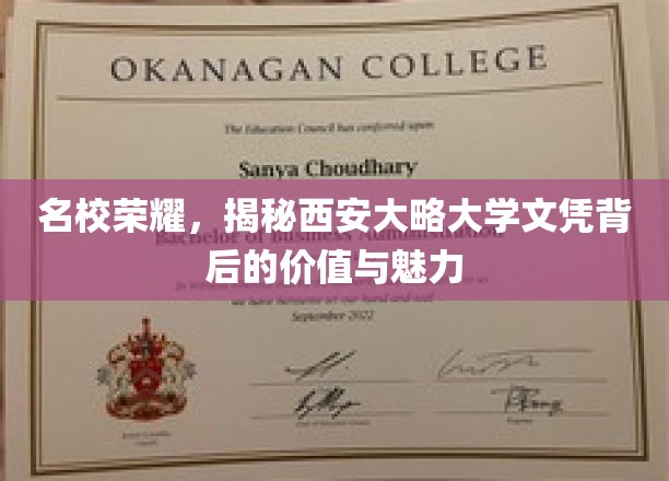 西安大略大学文凭，解码名校光环下的无限潜力