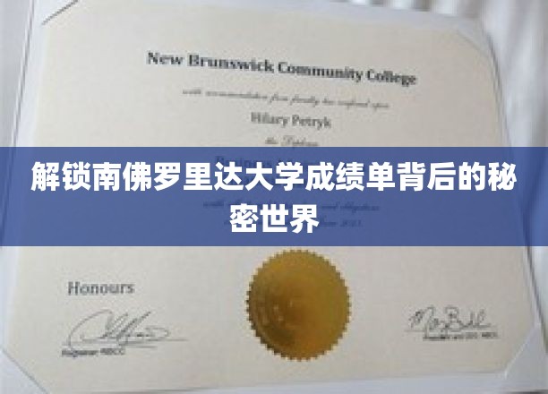 揭秘南佛罗里达大学成绩单背后的神秘面纱