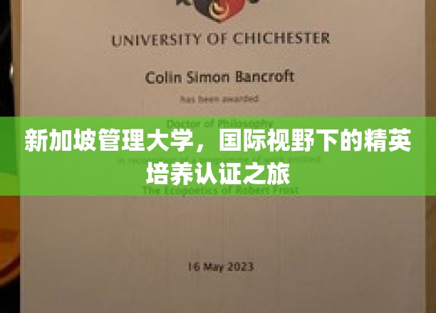 解码新航程，新加坡管理大学全球视野精英养成记