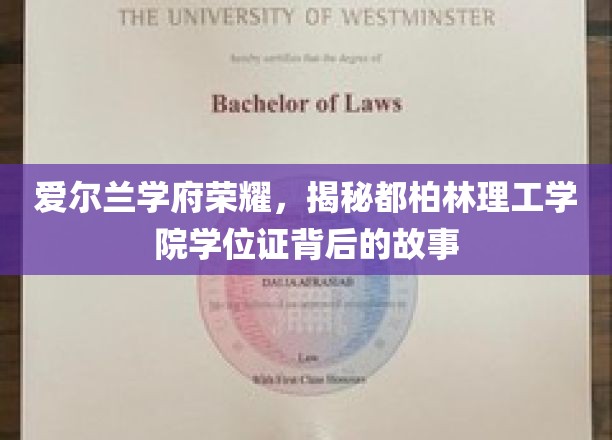 都柏林理工学院学位证背后的传奇，探寻爱尔兰顶尖学府的荣耀之路