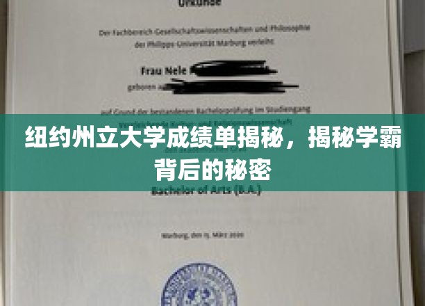 解码纽约州立大学学霸养成记