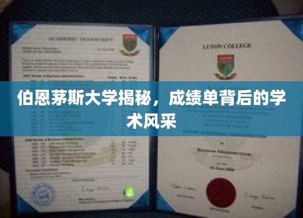 解码伯恩茅斯，一窥成绩单背后的学术魅力
