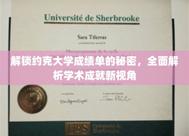 探索约克大学成绩单背后的学术奥秘，揭秘学术成就的多元视角