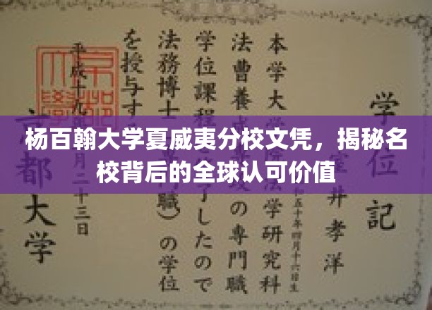 解码杨百翰大学夏威夷分校，全球视野下的文凭魅力