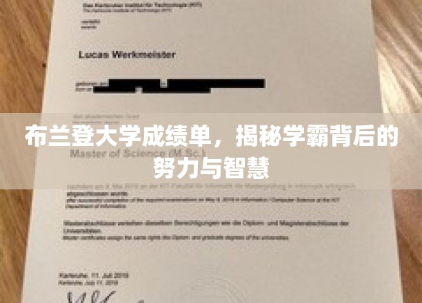 解码学霸之路，布兰登大学成绩单背后的奋斗与智慧之光