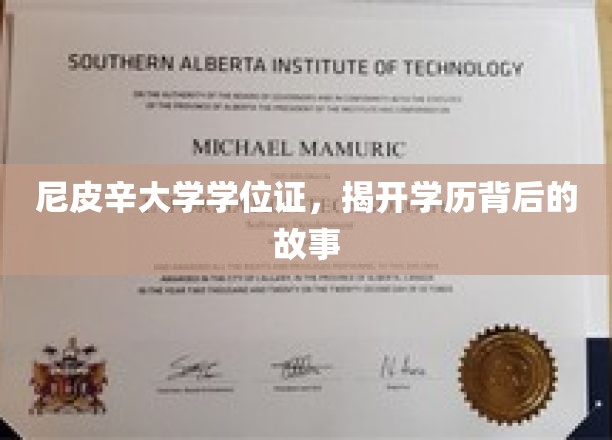 尼皮辛大学文凭揭秘，一场学历背后的传奇之旅