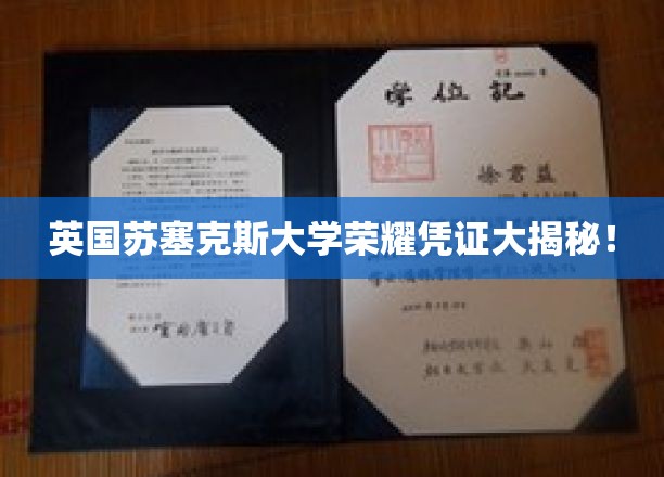 探索苏塞克斯大学荣耀凭证背后的神秘面纱