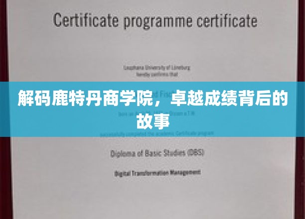 解码鹿特丹商学院，卓越成绩背后的故事