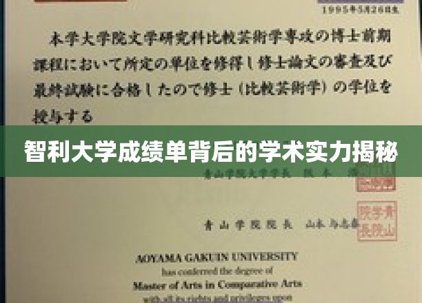 智利大学成绩单背后的学术实力揭秘