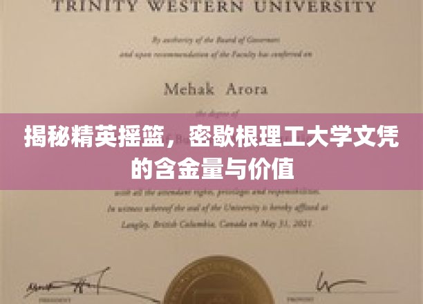 解码密歇根理工大学，文凭背后的实力与未来潜能