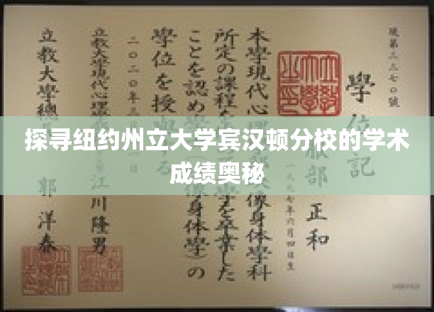 解码纽约州立大学宾汉顿分校卓越学术成就的背后