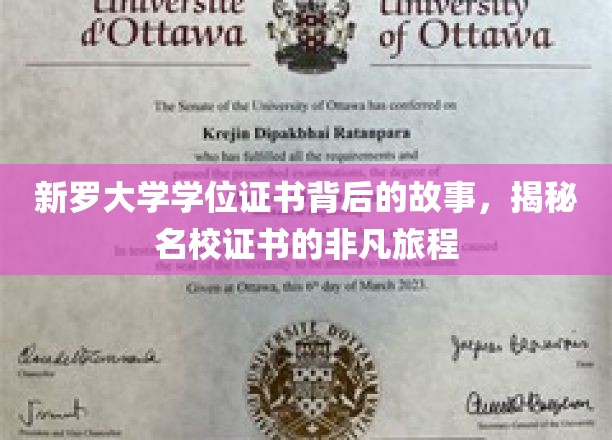 名校证书背后的传奇，新罗大学学位证书的非凡探寻之旅