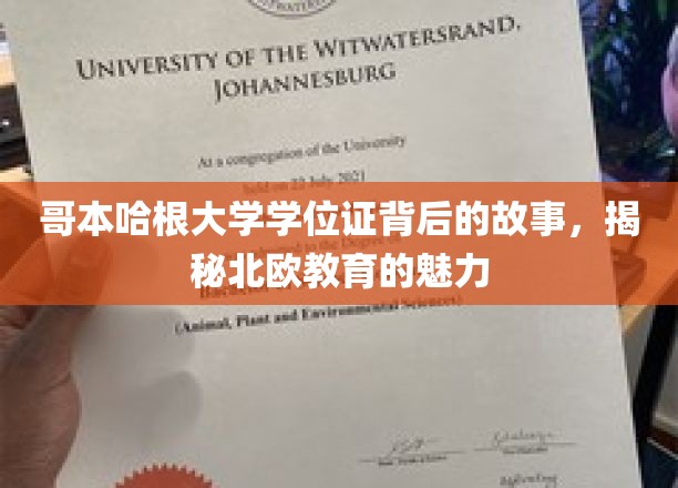 探寻哥本哈根大学学位证背后的传奇，北欧教育魅力大揭秘