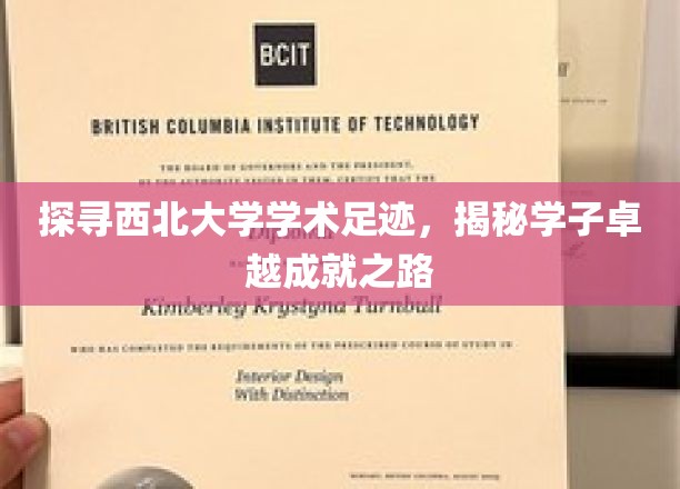 追寻西北大学学术足迹，揭秘学子卓越成就之路