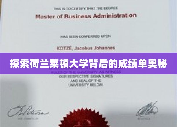 荷兰莱顿大学，揭秘学术卓越的幕后力量