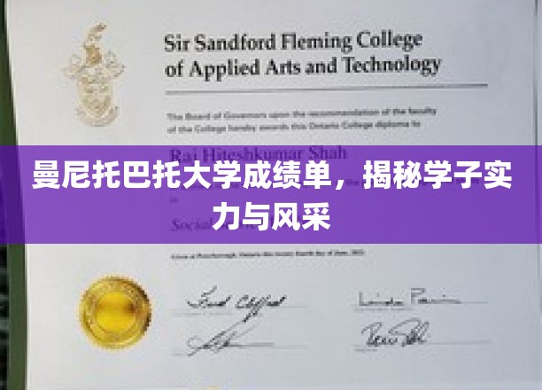 曼尼托巴大学成绩单，展现学子实力与风采