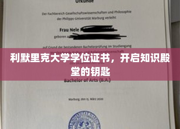 解锁智慧之门，利默里克大学学位证书的非凡意义
