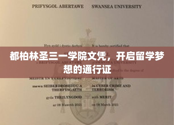 都柏林圣三一文凭，解锁留学之路的璀璨钥匙
