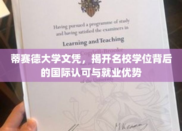 蒂赛德大学文凭，揭示名校学位背后的国际认可与就业优势