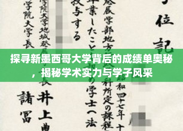 解码新墨西哥大学，卓越学术与青春风采的完美融合