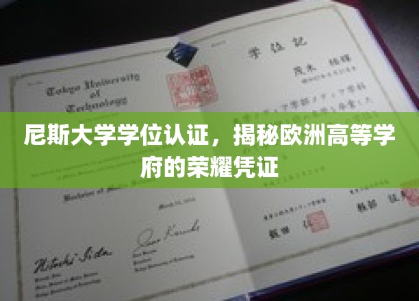 欧洲荣耀之路，尼斯大学学位认证，解锁高等学府的璀璨通行证