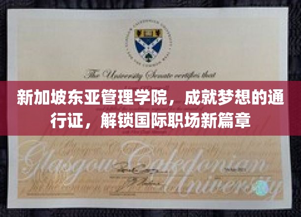 新加坡东亚管理学院，开启国际职场大门，助力学子梦想启航