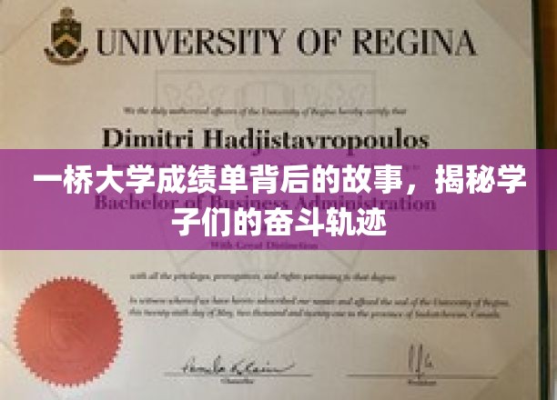 一桥学子奋斗路，揭秘成绩单背后的拼搏历程