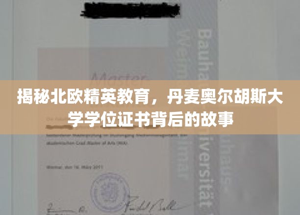 解码丹麦精英教育，奥尔胡斯大学学位证书的非凡旅程