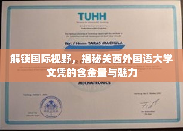 探寻关西外国语大学，国际视野下的文凭价值与独特魅力