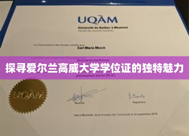 探寻爱尔兰高威大学学位证的独特魅力