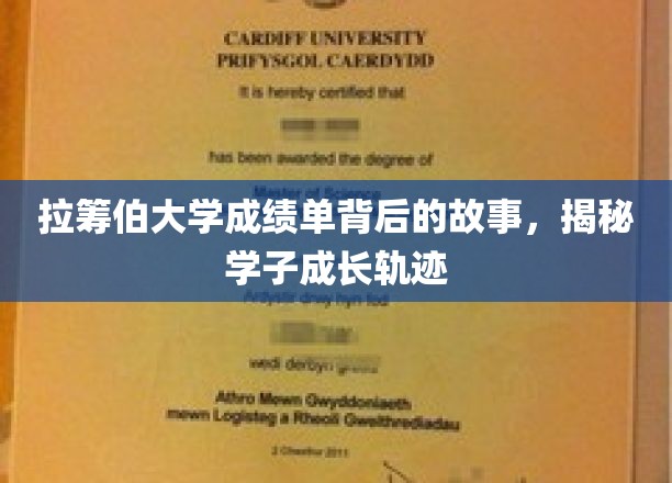 拉筹伯大学成绩单背后的故事，揭秘学子成长轨迹