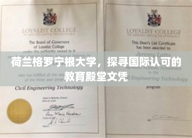 欧洲学术明珠，格罗宁根大学，国际认可的卓越文凭之旅