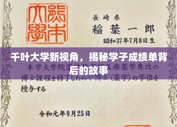 解码千叶学子成绩单，背后的成长轨迹与智慧火花
