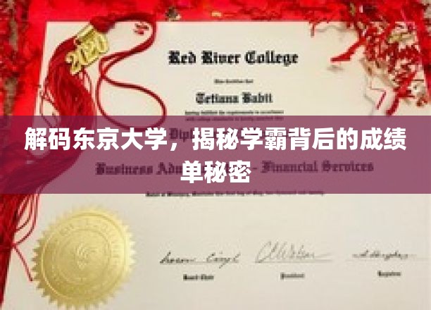 探寻东京学霸之路，揭秘高材生背后的惊人成绩单
