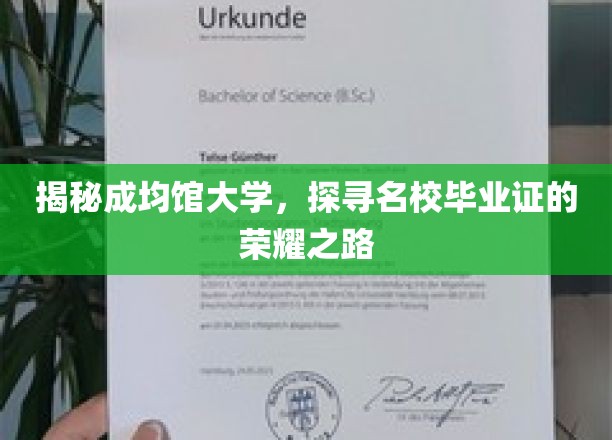揭秘成均馆大学，探寻名校毕业证的荣耀之路