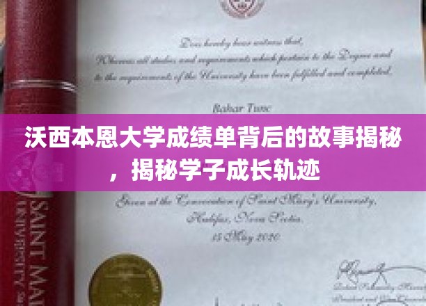 沃西本恩大学成绩单背后的故事揭秘，揭秘学子成长轨迹