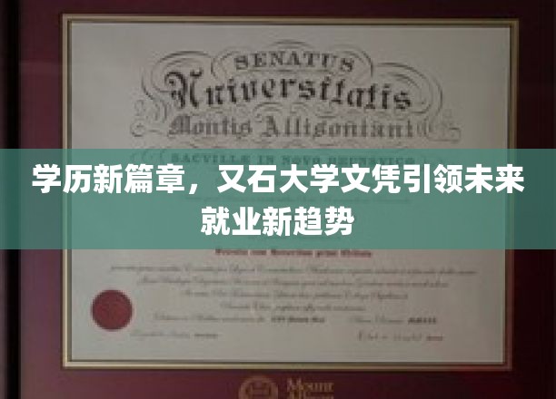 学历新篇章，又石大学学历引领未来就业新趋势