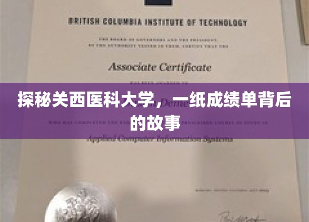 关西医科大学成绩单解码，揭秘学子们的成长轨迹