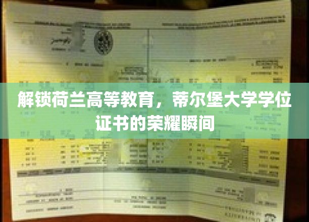 解锁荷兰高等教育，蒂尔堡大学学位证书的荣耀瞬间