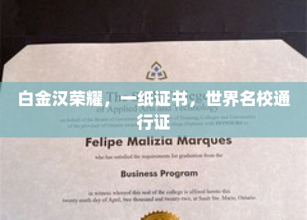白金汉荣耀，一纸证书，世界名校通行证