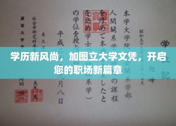 图立学历新纪元，轻松获取大学文凭，成就非凡职场人生